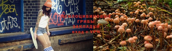 эйфоретик Майский