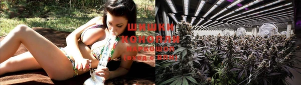 стафф Магас